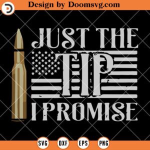 Veteran Just The Tip I Promise SVG, Veteran US Flag SVG