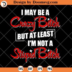 I'm not a Stupid Bitch SVG, Funny Humor Women SVG