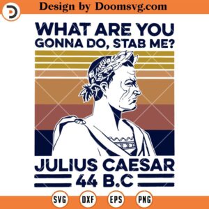 What Are You Gonna D, Stab Me Julius Caesar 44B C SVG, Funny SVG