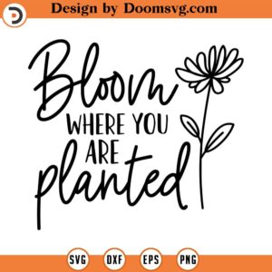 Bloom Where You Are Planted SVG, Quote SVG, Inspiration SVG, Png, Eps, Dxf, Cricut, Cut Files, Silhouette Files, Download, Print